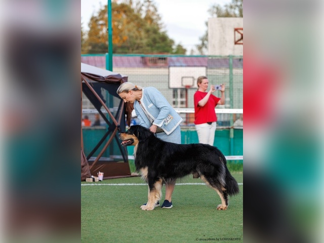 ХОТОШО #9