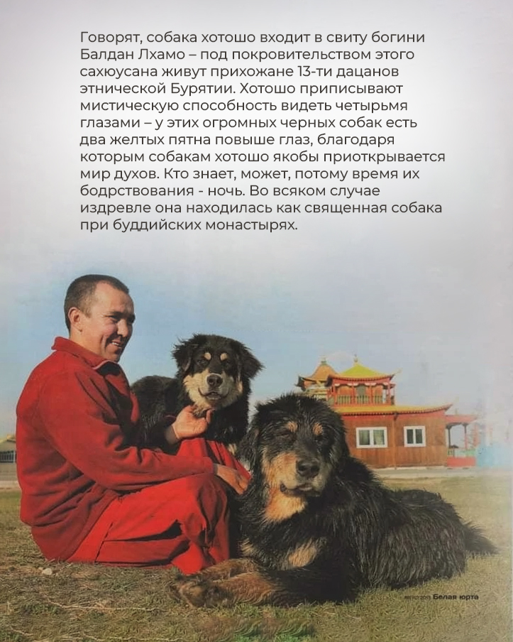 Общая галерея #14