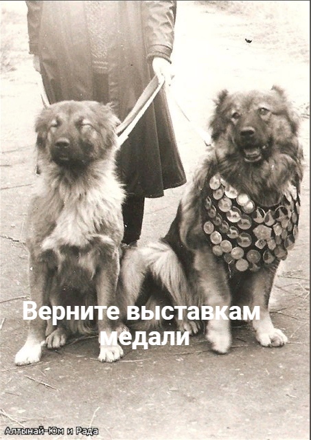 ВЕРНИТЕ ВЫСТАВКАХ МЕДАЛИ