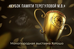 Кубок памяти Терегуловой М.В.