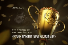 Кубок памяти 2024г.