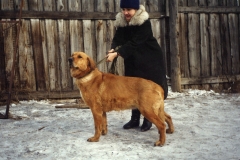 Т-Жина
