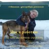 Как я работаю